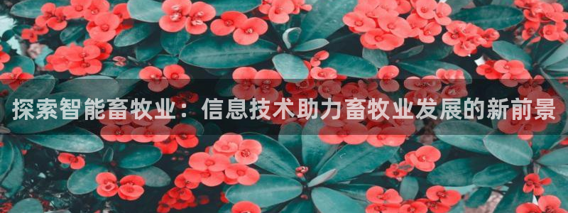乐虎国际官方网游戏小米